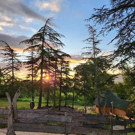 Bed & Breakfast La Chaumiere Magique Des Elfes Et Son Escape Game